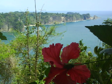 030 Manuel Antonio NP Clifftop View 3rd Mar.jpg